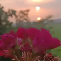 سیصد متر بنا تریبلکس سه واحد مجزا|فروش زمین و ملک کلنگی|تالش, هشتپر|دیوار