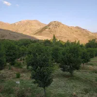 فروش باغ یمینان منطقه بکر و گردشگری