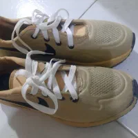 کتونی|کیف، کفش، کمربند|اراک, |دیوار