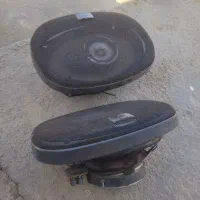 زبت باند پاینر