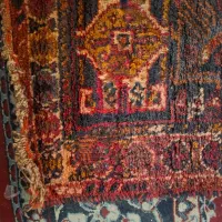 قالی دست باف ۶متری وتمیز مال ۱۰۰سال پیش هست|فرش|شیراز, میانرود|دیوار