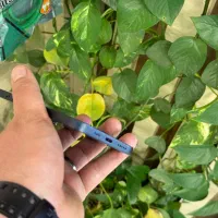 13 128 CH/A|موبایل|تهران, شیخ هادی|دیوار