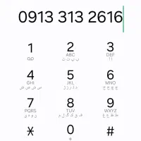 09133132616