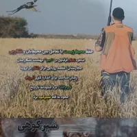 فروش مجله شکاروطبیعت|مجلات|کرج, اسدآباد|دیوار