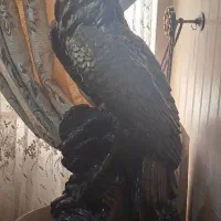 مجسمه عقاب