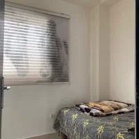 یه خواب جنگلی کیا