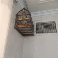 قفس دستبافت