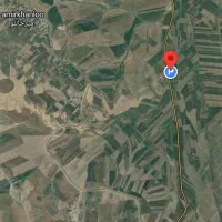 اجاره ۳ هکتار برای گوجه