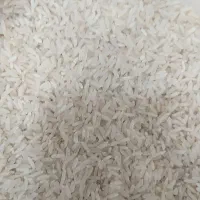 برنج فجر خوش پخت