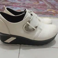 کفش  زنانه