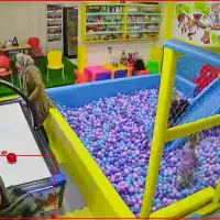 همکار خانم جهت خانه بازی|استخدام آموزشی|کرمان, |دیوار