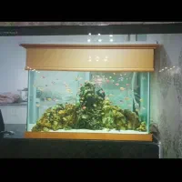 اکواریوم فروش یا معاوضه با سگ ژرمن