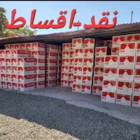 پکیج سری A ایران رادیاتور(قیمت بصرفه)