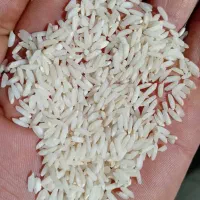 برنج محلی درود درجه یک با ضمانت|خوردنی و آشامیدنی|دورود, |دیوار