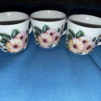 تعدادی استکان