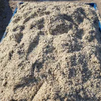 میش بره خوراک دام