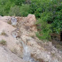 فروش و یا معاوضه مزرعه در بیداخوید