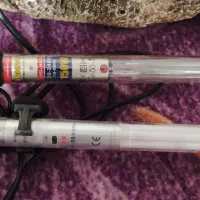 آکواریوم|ماهی|نسیمشهر, |دیوار