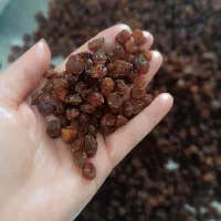 کشمش تمیز وبی دانه