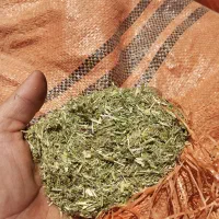 کاه یونجه تمیز