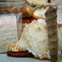 کتاب ضمانتی صددرصد|کتاب و مجله مذهبی|مود, |دیوار