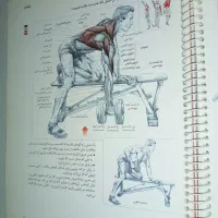 کتاب تمرینات قدرتی کل بدن ویژه مربیان و ورزشکاران|کتاب و مجله آموزشی|تهران, خواجه نظام الملک|دیوار