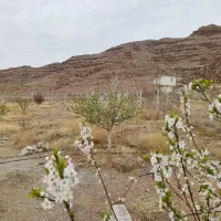 باغ ۱۶۰۰ متر