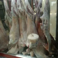 عرضه گوشت خورشتی،کالابرگ850