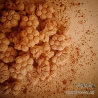 قندهای دمنوشی|خوردنی و آشامیدنی|قم, دروازه ری|دیوار