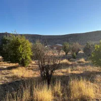 مجموعه قصر سبز زیر نظر جهاد سازندگی|فروش زمین و ملک کلنگی|شیراز, شهرک قمشه|دیوار