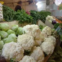 کارگر نیمه ماهر سبزی فروشی