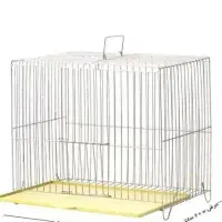 قفس