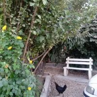 خانه اجاره ای روستایی|اجارهٔ خانه و ویلا|سرپل ذهاب, |دیوار