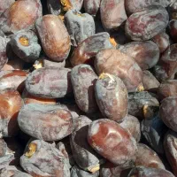 ۷تن خرمای کلوته فله درجه ۱ عنبرآباد