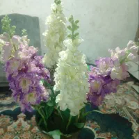 لوازم خانه