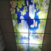 اجرای کناف ،سقف کاذب،پی وی سی ،آسمان مجازی|خدمات پیشه و مهارت|میناب, |دیوار