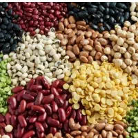 برنج، حبوبات.آجیل،چای به صورت اقساطی