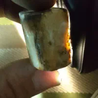 عاج سفید جواهری طبیعی|جواهرات|قرچک, پارک جنگلی|دیوار