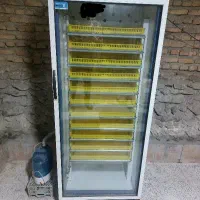 دستگاه جوجه کشی دماوند ۹۲۴