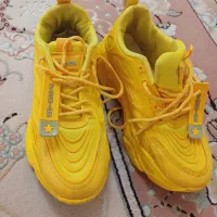 کفش|کیف، کفش، کمربند|تالش, هشتپر|دیوار