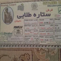 قالی|فرش|هرسین, |دیوار