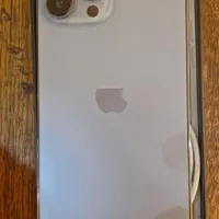 اپل iPhone 13 Pro max  256