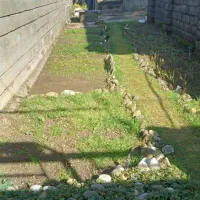 فروش-ویلایی-تک-برگ-قیمت-کلنگی-متراژ220-متر