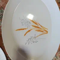 سینی ملامین بیضی شکل