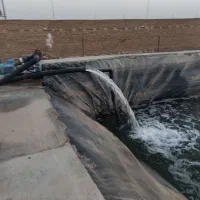 دامداری و سالن واستخر|فروش دفتر صنعتی، کشاورزی، تجاری|رضویه, |دیوار