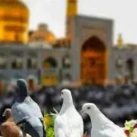 تورمشهد ویژه آبان ماه شمارش معکوس تخفیفات ابان ماه