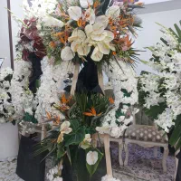 تاج گل|گل و گیاه طبیعی|تهران, حکیمیه|دیوار