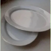 یک جفت دیس پلو خوری