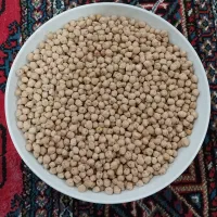 نخود آبگوشتی