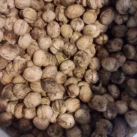 گردو درجه یک